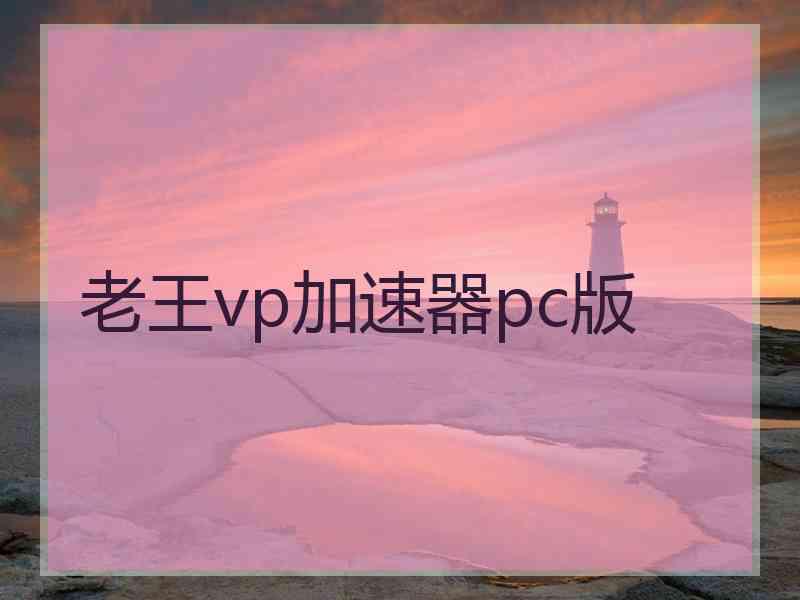 老王vp加速器pc版