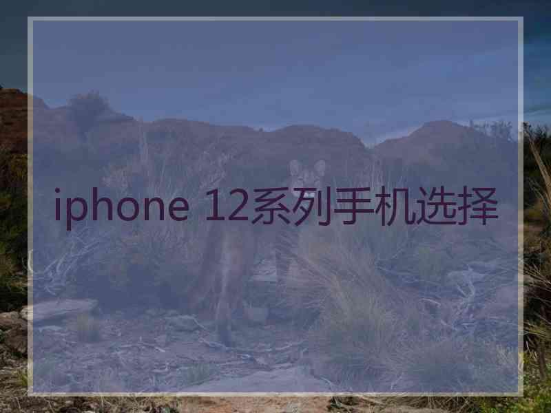 iphone 12系列手机选择