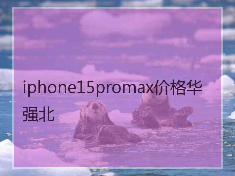 iphone15promax价格华强北