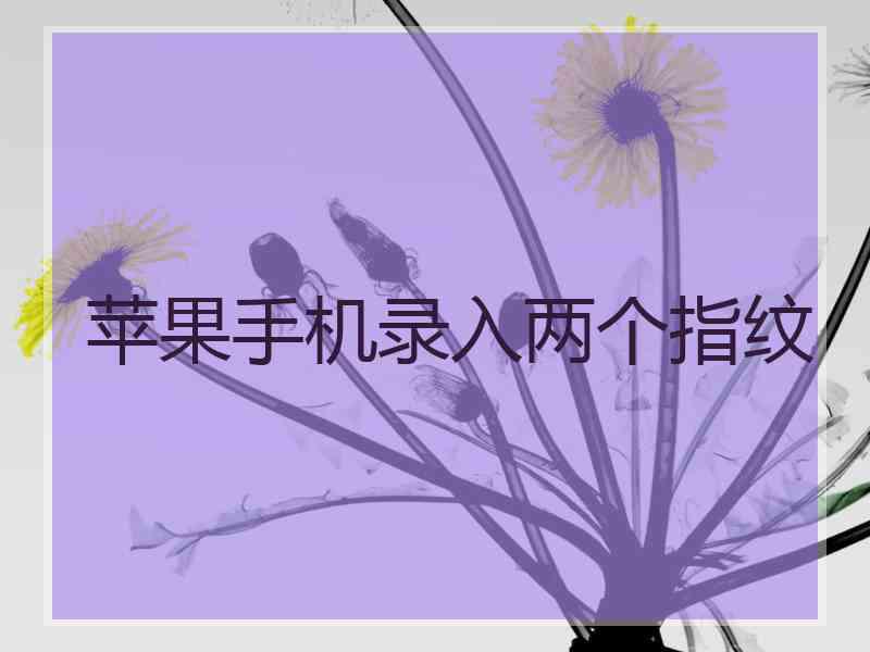 苹果手机录入两个指纹