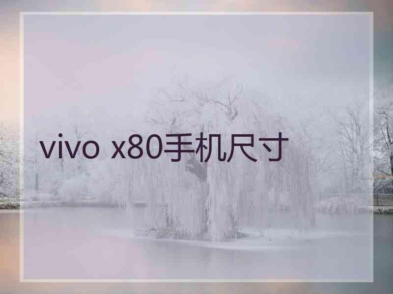 vivo x80手机尺寸