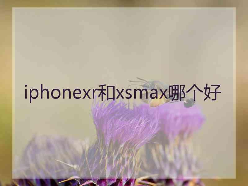 iphonexr和xsmax哪个好