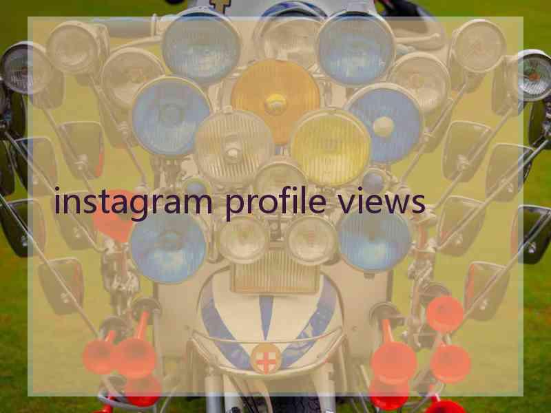 instagram profile views