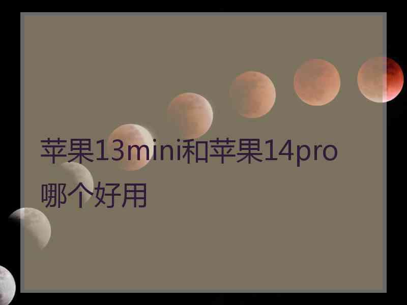 苹果13mini和苹果14pro哪个好用