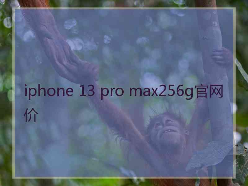 iphone 13 pro max256g官网价