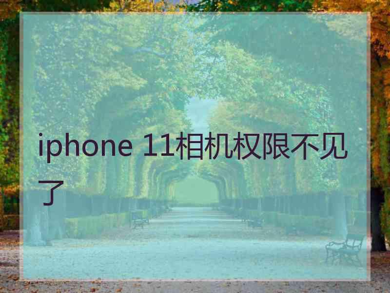 iphone 11相机权限不见了