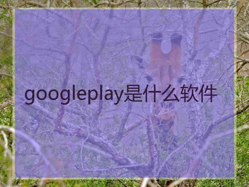 googleplay是什么软件