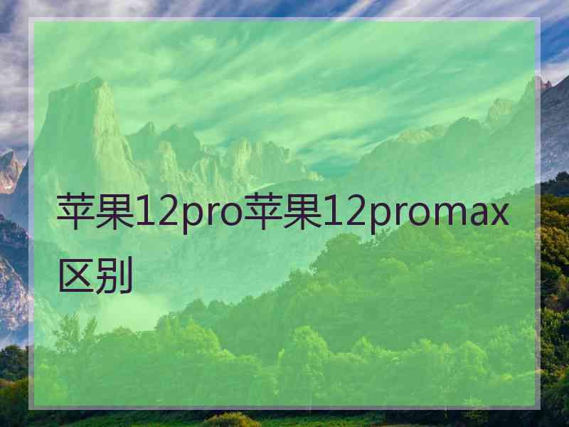 苹果12pro苹果12promax区别