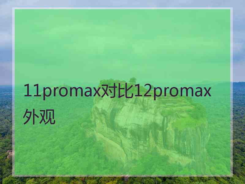 11promax对比12promax外观