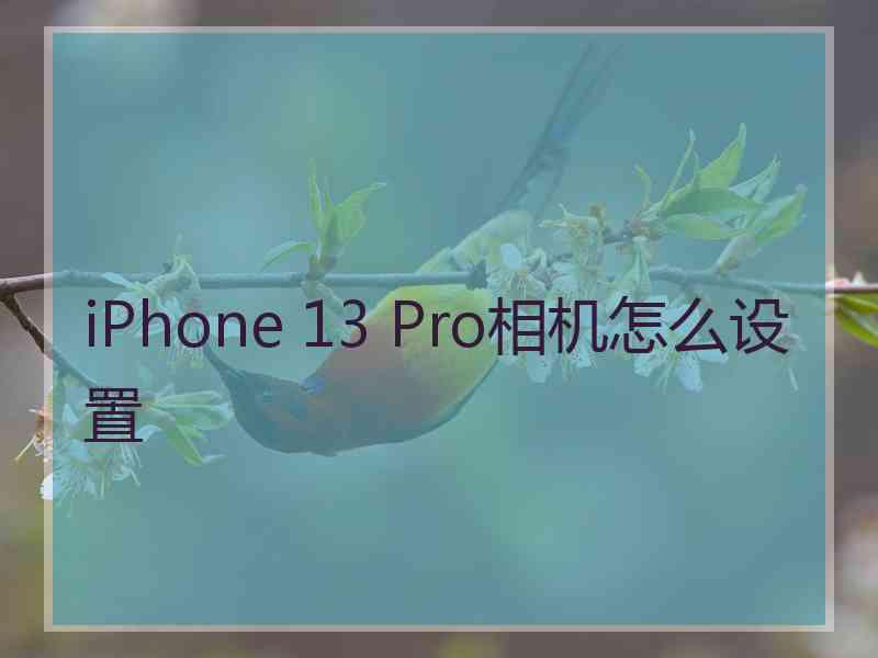 iPhone 13 Pro相机怎么设置