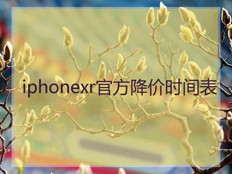 iphonexr官方降价时间表