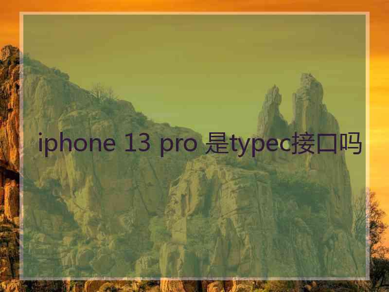 iphone 13 pro 是typec接口吗