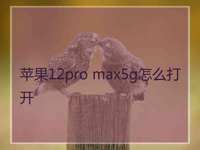 苹果12pro max5g怎么打开