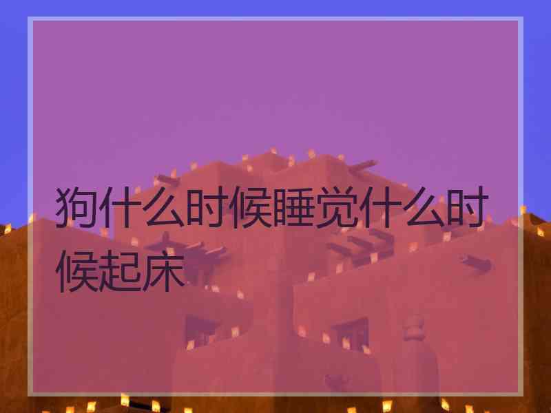 狗什么时候睡觉什么时候起床