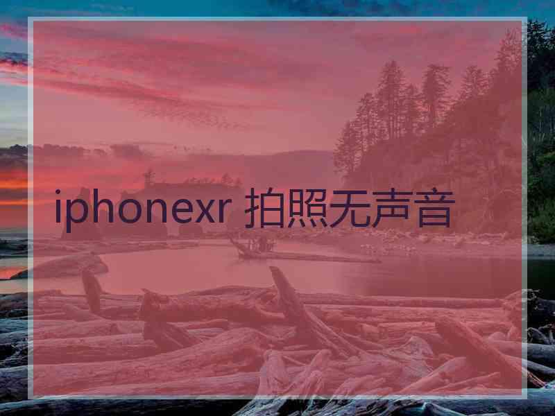 iphonexr 拍照无声音