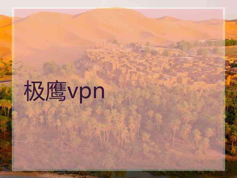 极鹰vpn