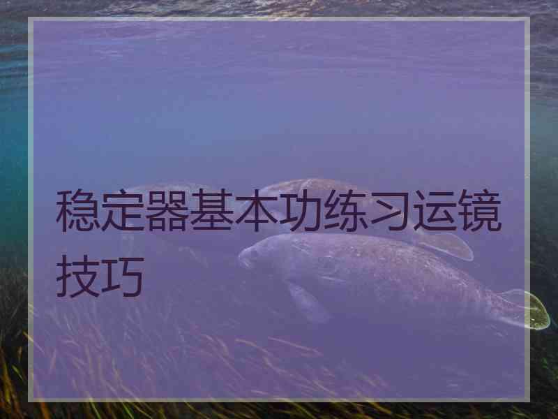 稳定器基本功练习运镜技巧