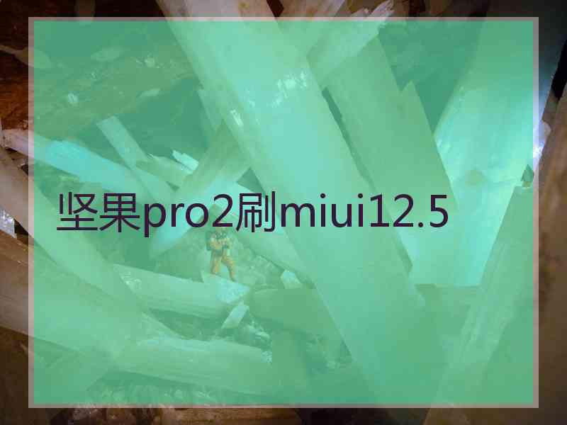 坚果pro2刷miui12.5