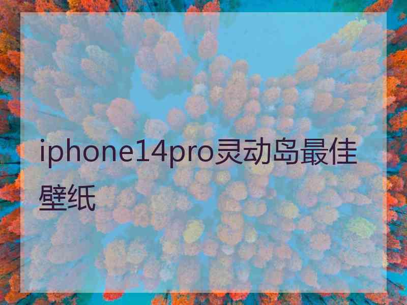 iphone14pro灵动岛最佳壁纸