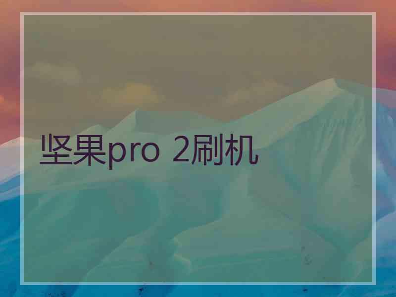 坚果pro 2刷机