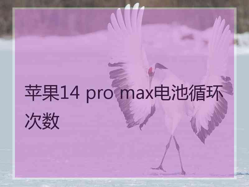 苹果14 pro max电池循环次数