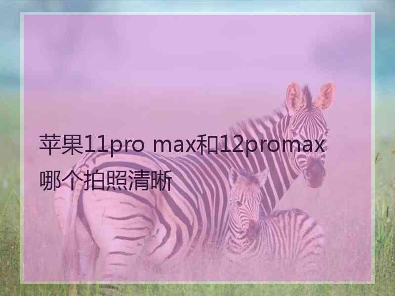 苹果11pro max和12promax哪个拍照清晰