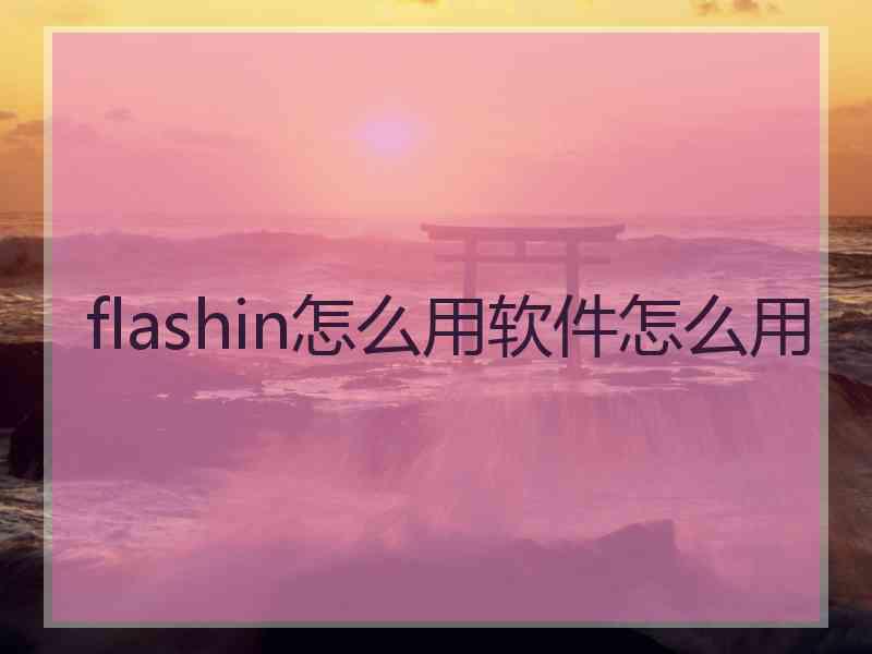 flashin怎么用软件怎么用