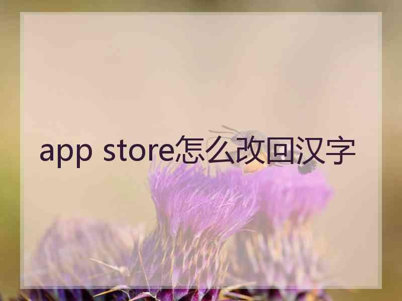 app store怎么改回汉字