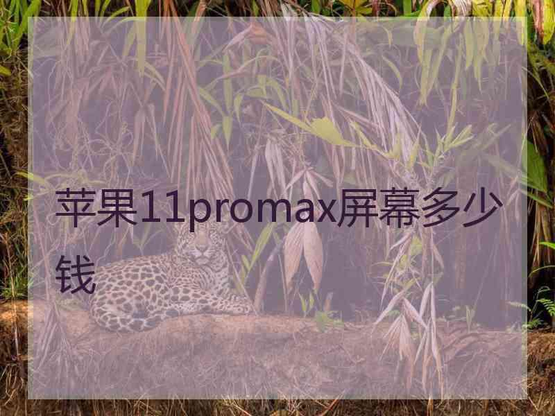 苹果11promax屏幕多少钱