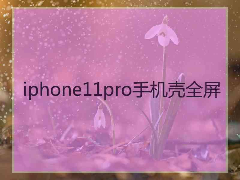 iphone11pro手机壳全屏