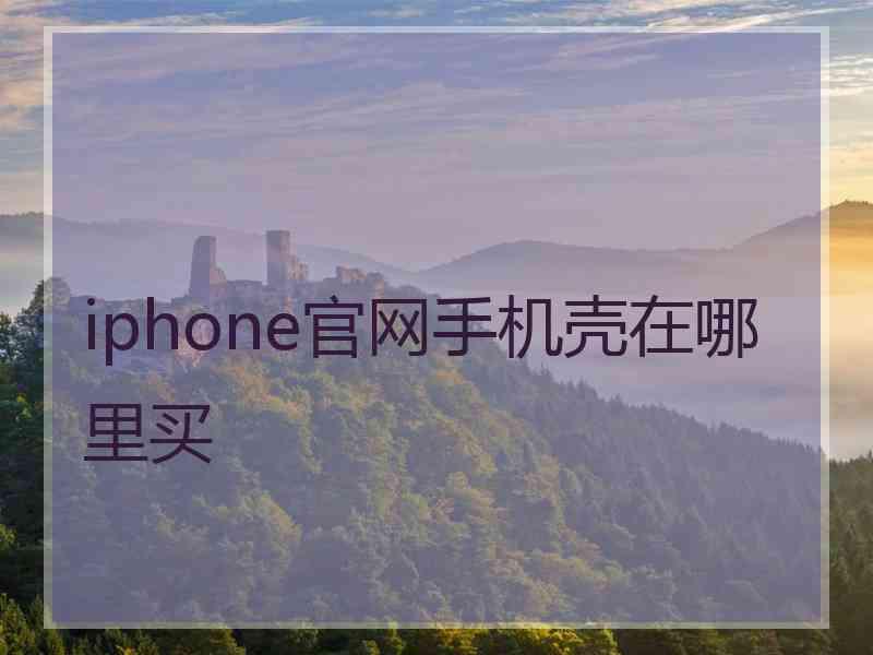 iphone官网手机壳在哪里买