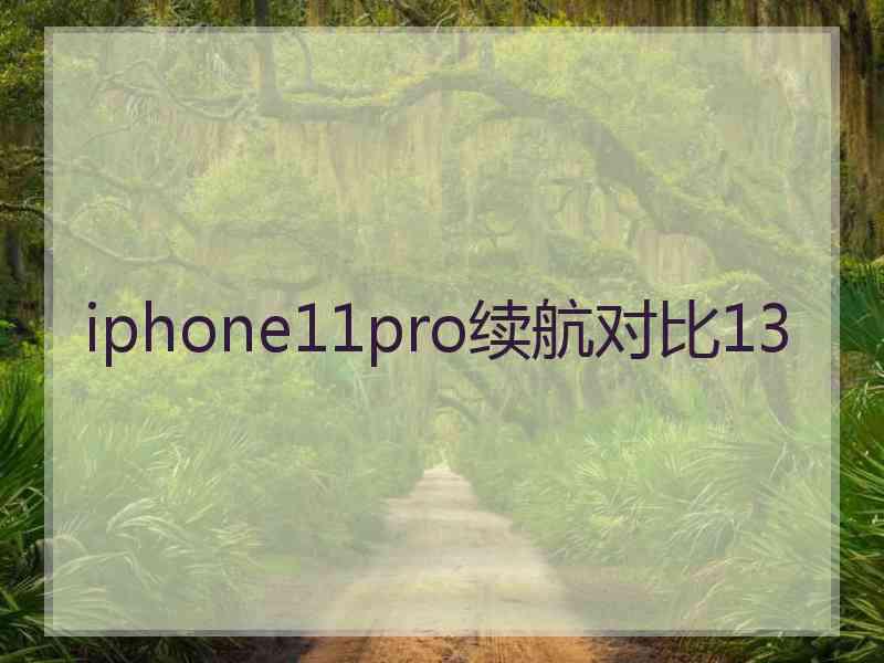 iphone11pro续航对比13