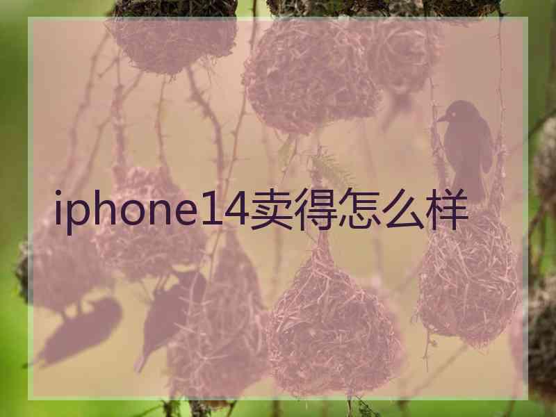 iphone14卖得怎么样