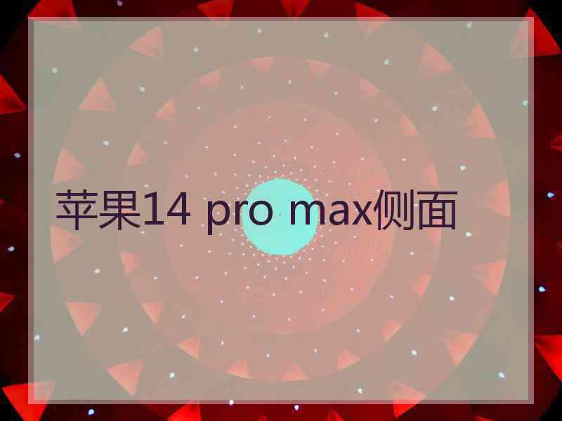 苹果14 pro max侧面