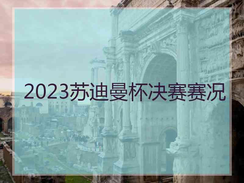 2023苏迪曼杯决赛赛况