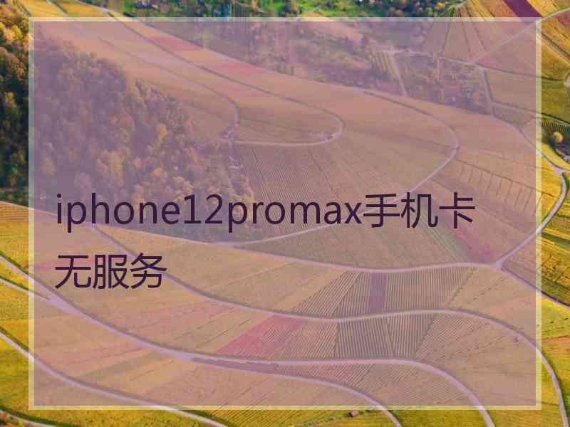 iphone12promax手机卡无服务