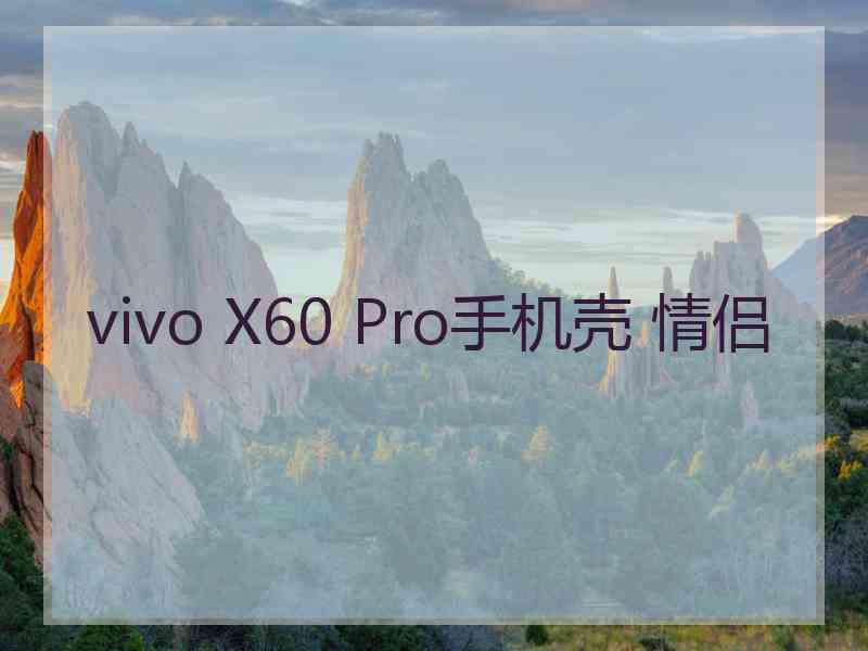 vivo X60 Pro手机壳 情侣