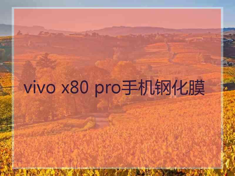 vivo x80 pro手机钢化膜