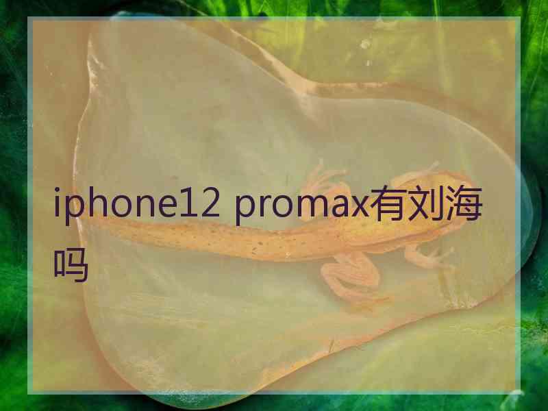 iphone12 promax有刘海吗