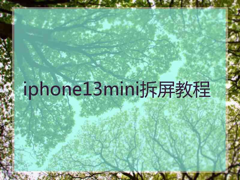 iphone13mini拆屏教程