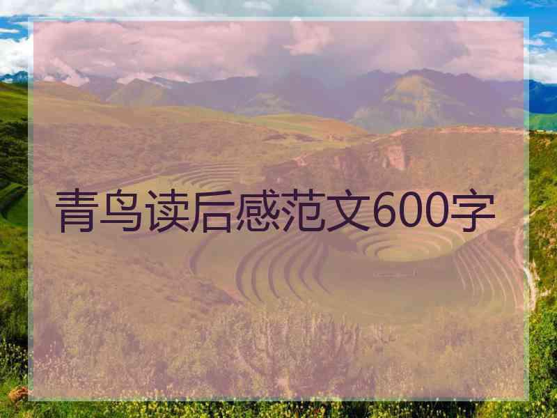 青鸟读后感范文600字