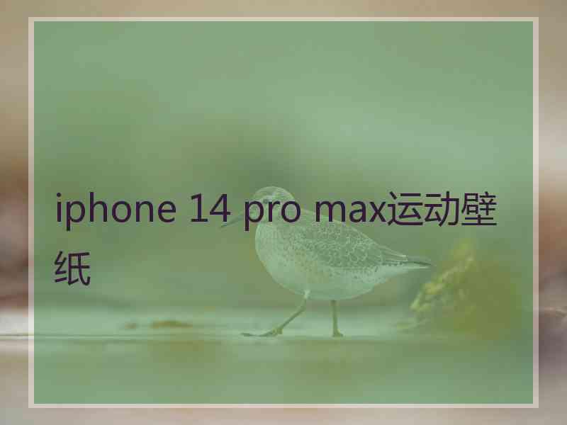 iphone 14 pro max运动壁纸