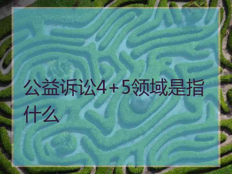 公益诉讼4+5领域是指什么