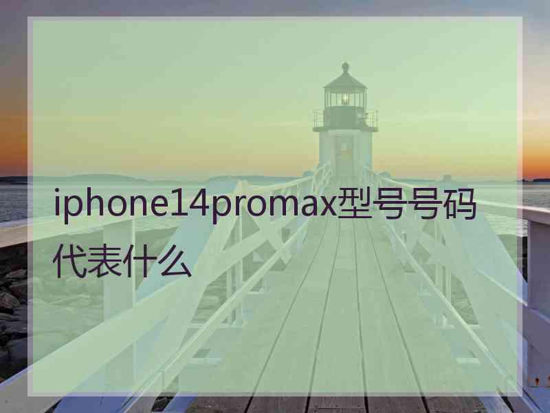 iphone14promax型号号码代表什么