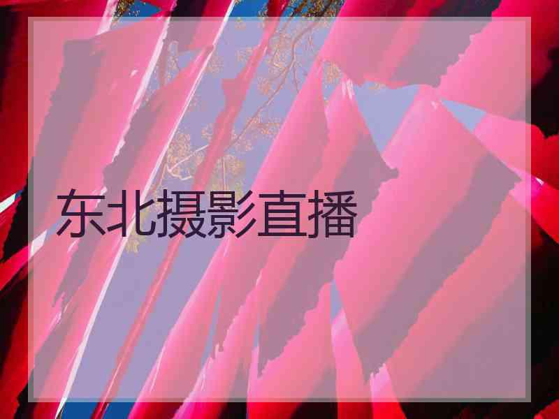 东北摄影直播