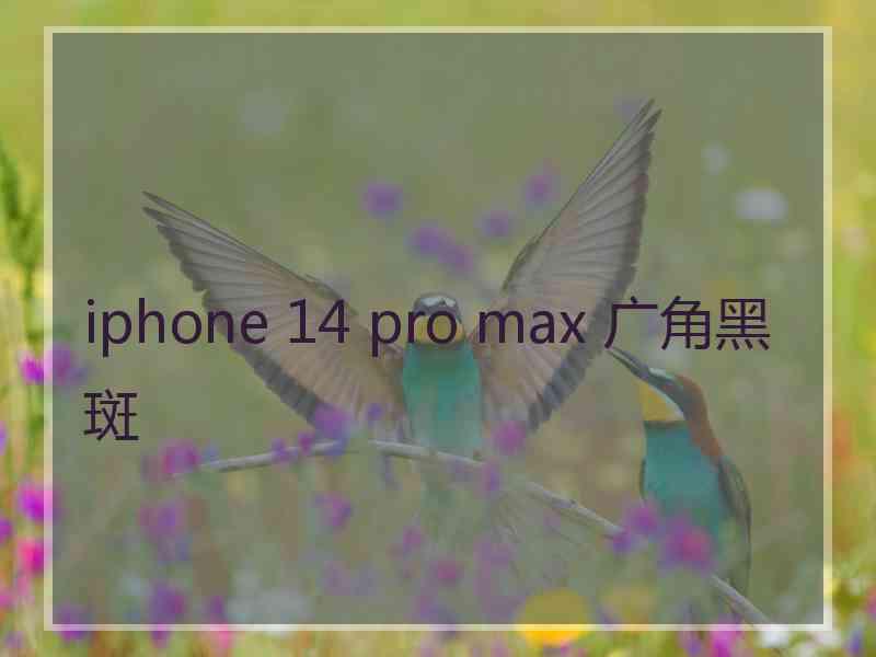 iphone 14 pro max 广角黑斑