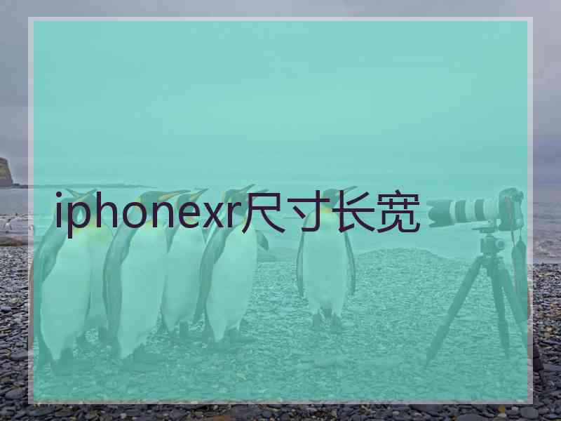 iphonexr尺寸长宽