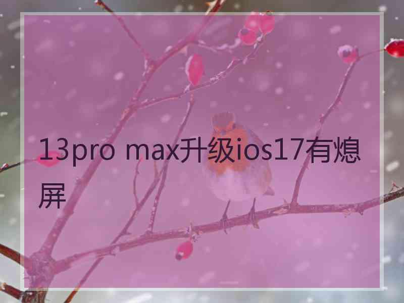 13pro max升级ios17有熄屏