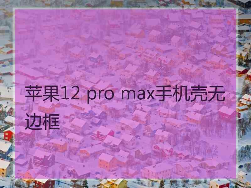 苹果12 pro max手机壳无边框