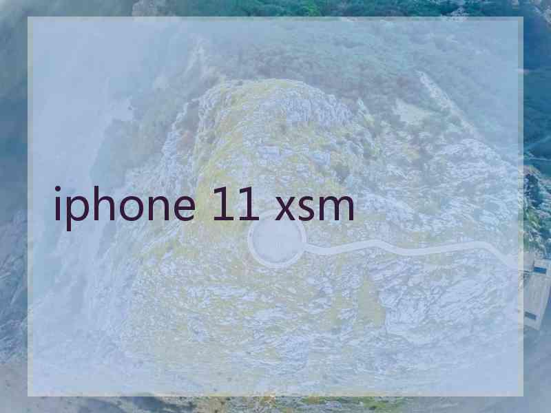 iphone 11 xsm